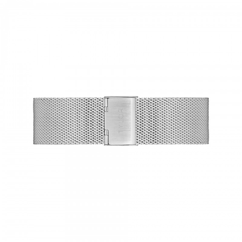 SILVER MESH 22MM TLB-AB008